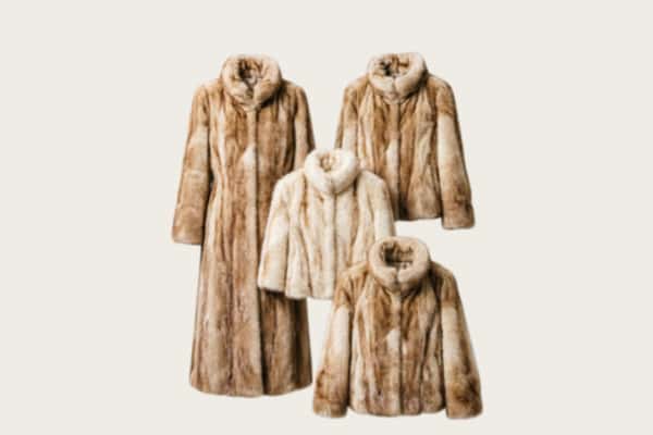 登封市回收皮草衣服